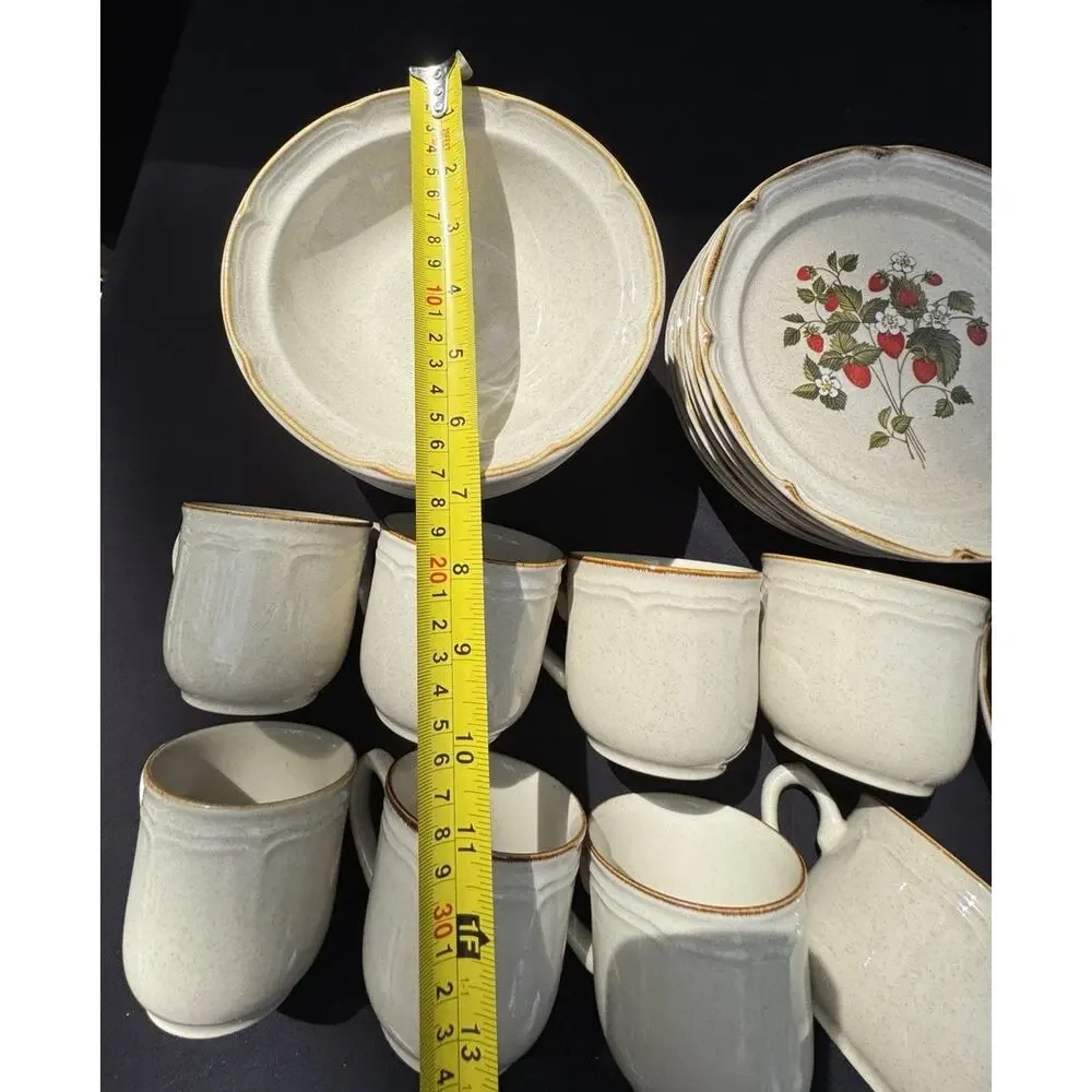 Vintage 1960’s Endura Collection LA FRAISE Strawberries Plate Bowl Saucer & Mugs
